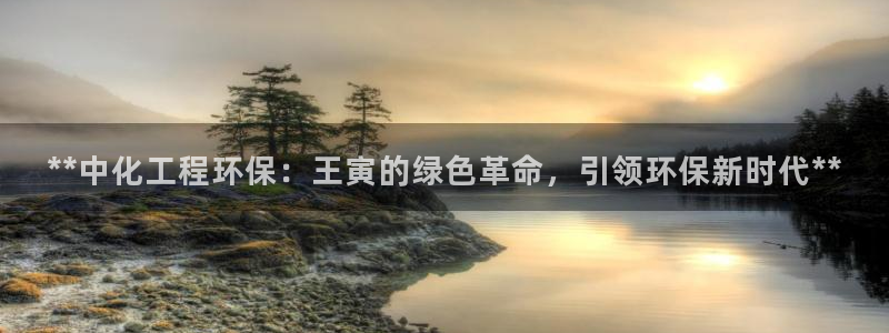 亿万网友在线实时为你解答：**中化工程环保：王寅的绿色革命，引领环保新时代**