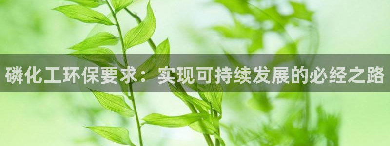 亿万先生网站下载：磷化工环保要求：实现可持续发展的必经之路