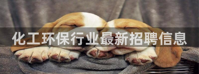 亿万网友在线解答：化工环保行业最新招聘信息