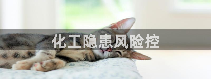 亿万手游平台官网下载：化工隐患风险控