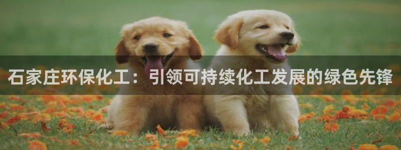 亿万先生客户端怎么下载：石家庄环保化工：引领可持续化工发展的绿色先锋