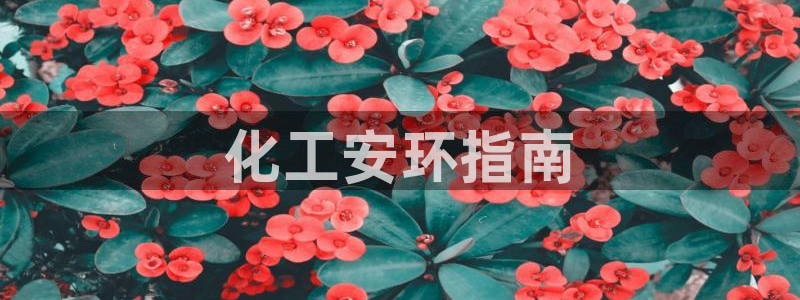 亿万国际平台是正规的吗安全吗：化工安环指南