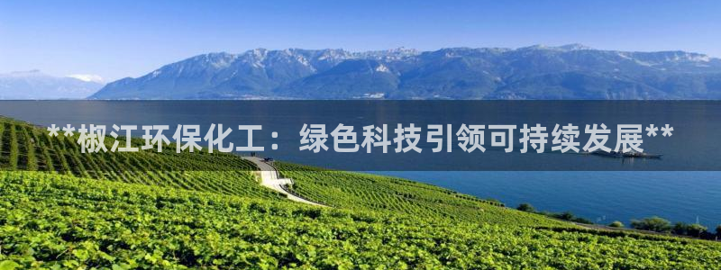亿万网络科技有限公司：**椒江环保化工：绿色科技引领可持续发展**