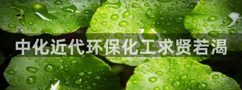 亿万手游平台官网下载：中化近代环保化工求贤若渴