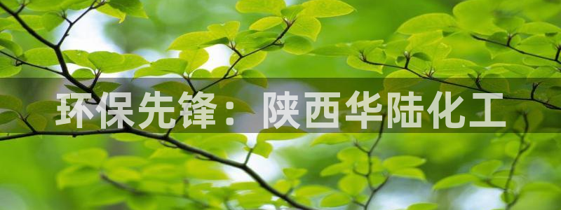 亿万先生现在的网址谁知道是真的：环保先锋：陕西华陆化工