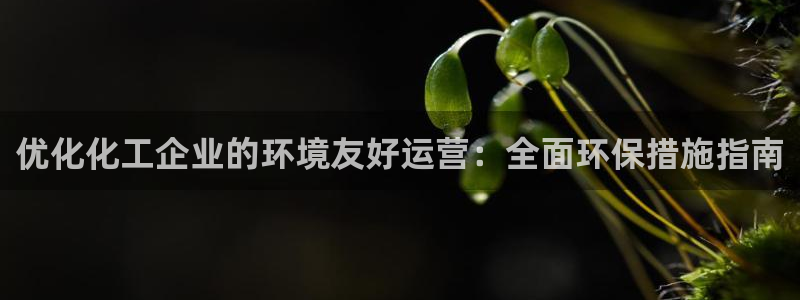 亿万首富游戏：优化化工企业的环境友好运营：全面环保措施指南