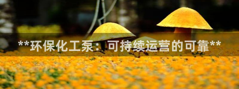 亿万先生mr：**环保化工泵：可持续运营的可靠**