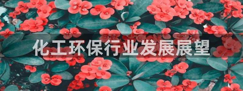 亿万先生客户端官网登录入口：化工环保行业发展展望