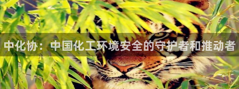 亿万网友在线实时为你解答：中化协：中国化工环境安全的守护者和推动者
