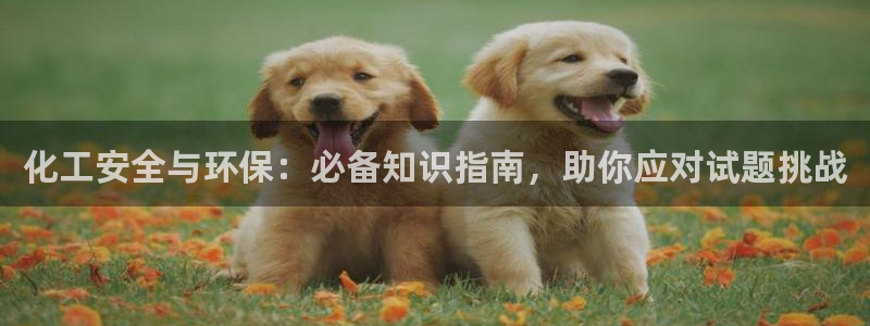 亿万先生手机客户端：化工安全与环保：必备知识指南，助你应对试题挑战