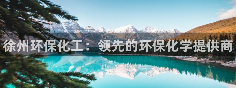 亿万讲什么：徐州环保化工：领先的环保化学提供商