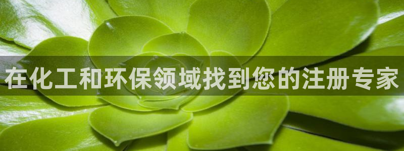 亿万千百十：在化工和环保领域找到您的注册专家