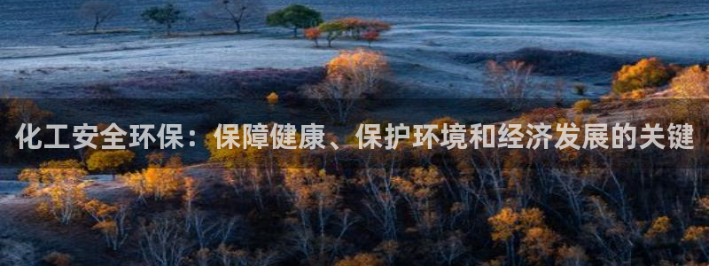 亿万先生现在的网址谁知道是真的：化工安全环保：保障健康、保护环境和经济发展的关键