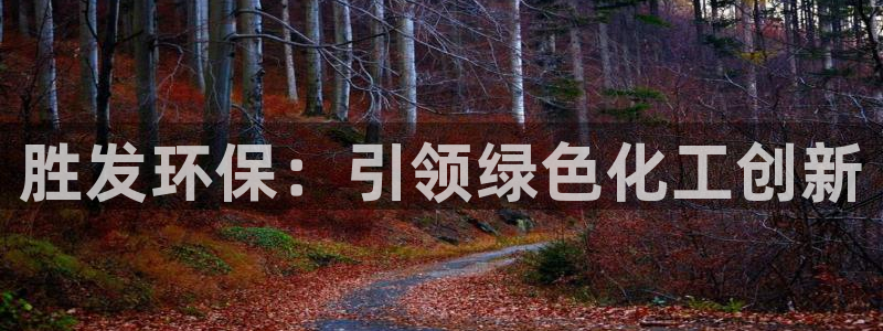 亿万先生007网页登录不了：胜发环保：引领绿色化工创新