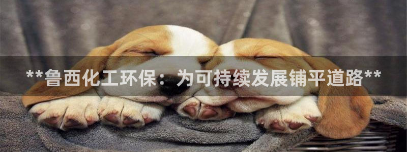 亿万先生充电桩怎么样：**鲁西化工环保：为可持续发展铺平道路**