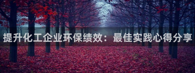亿万百度百科官网：提升化工企业环保绩效：最佳实践心得分享