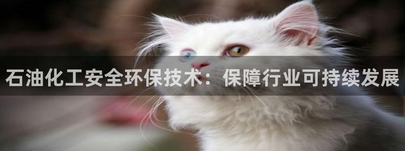 亿万先生app：石油化工安全环保技术：保障行业可持续发展