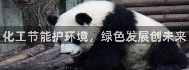 亿万先生网址改了吗：化工节能护环境，绿色发展创未来