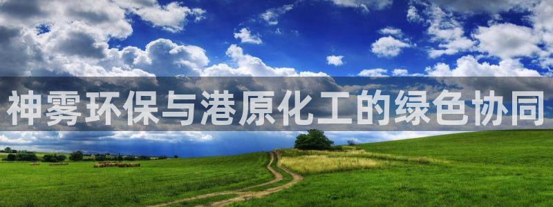 亿万红包版下载正版：神雾环保与港原化工的绿色协同