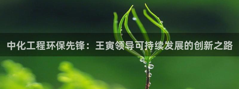 mr8001亿万先生在线存款：中化工程环保先锋：王寅领导可持续发展的创新之路
