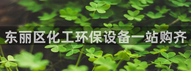 亿万首富手游兑换码：东丽区化工环保设备一站购齐
