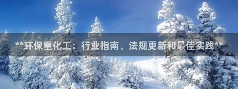 亿万先生网址生：**环保重化工：行业指南、法规更新和最佳实践**