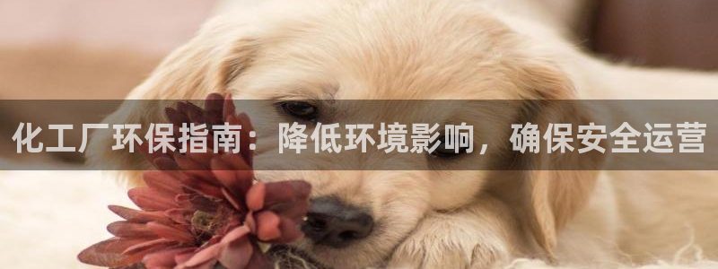 亿万网友在线实时为您解答问题：化工厂环保指南：降低环境影响，确保安全运营