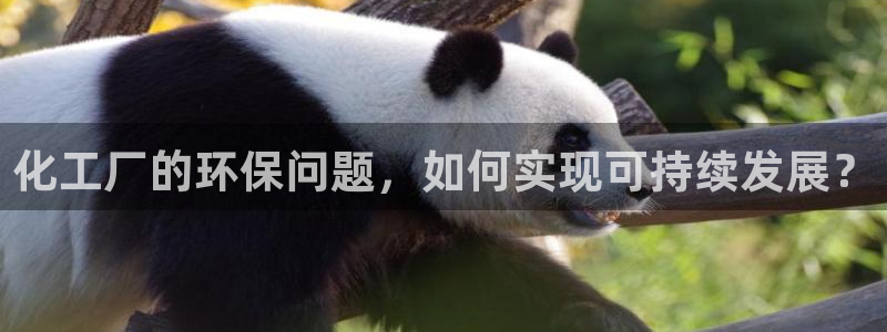 亿万第一季百科：化工厂的环保问题，如何实现可持续发展？