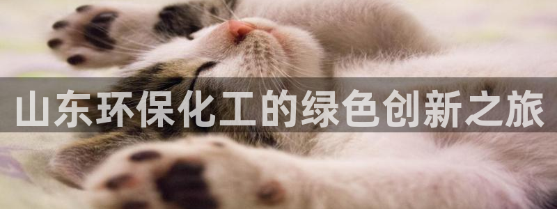 亿万讲什么：山东环保化工的绿色创新之旅