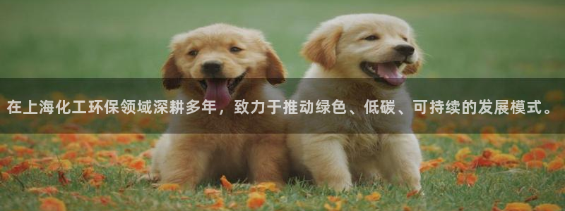 亿万钱包app下载：在上海化工环保领域深耕多年，致力于推动绿色、低碳、可持续的发展模式。