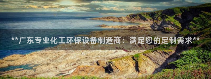 亿万先生网站：**广东专业化工环保设备制造商：满足您的定制需求**