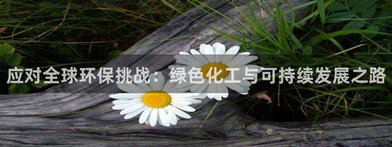 亿万同人字幕组的个人主页：应对全球环保挑战：绿色化工与可持续发展之路