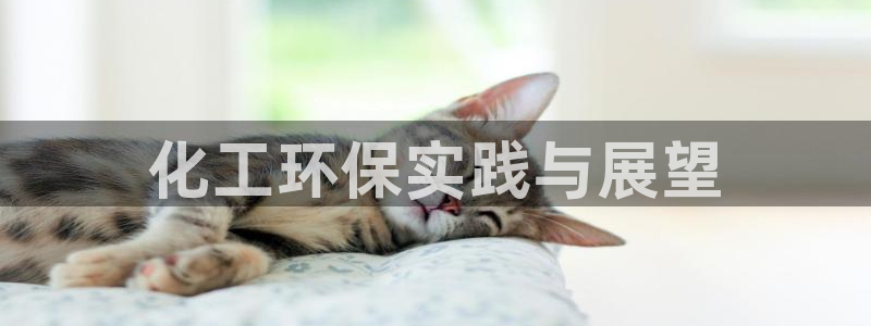 亿万网络科技有限公司：化工环保实践与展望