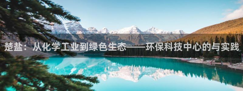 亿万首富游戏：楚盐：从化学工业到绿色生态——环保科技中心的与实践