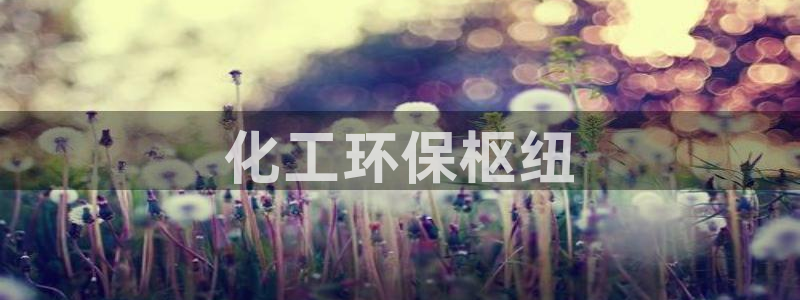 亿万先生客户端官网登录入口：化工环保枢纽
