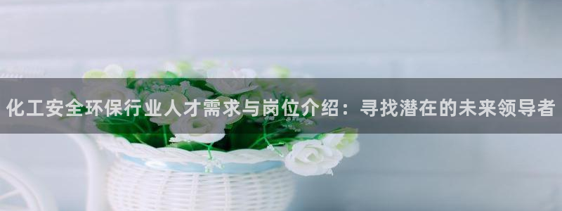 亿万剧情详解：化工安全环保行业人才需求与岗位介绍：寻找潜在的未来领导者