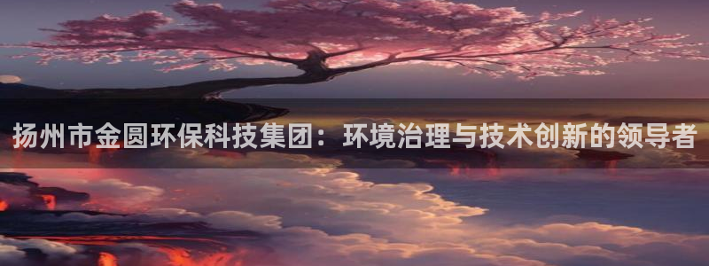 亿万国际：扬州市金圆环保科技集团：环境治理与技术创新的领导者
