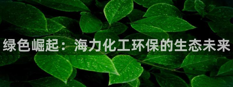 亿万网络科技有限公司ceo：绿色崛起：海力化工环保的生态未来