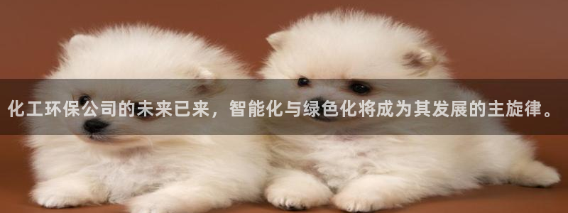亿万国际合法吗：化工环保公司的未来已来，智能化与绿色化将成为其发展的主旋律。