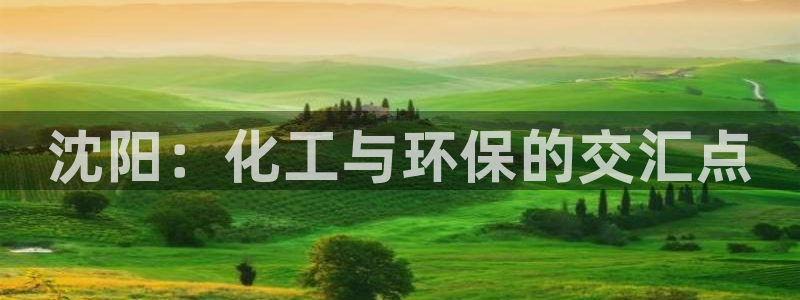 亿万先生客服联系电话：沈阳：化工与环保的交汇点