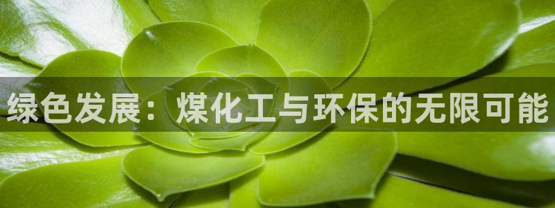 亿万钱包app下载：绿色发展：煤化工与环保的无限可能