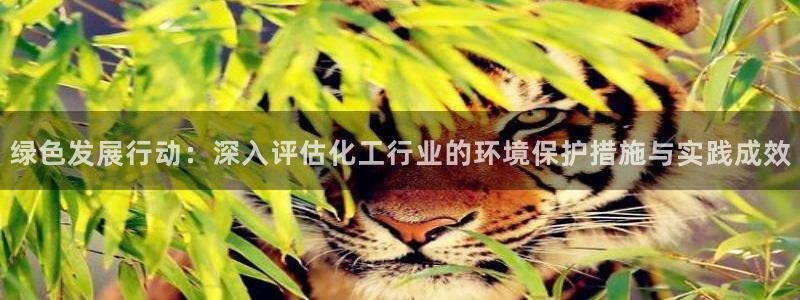 亿万先生手机版客户端下载官网：绿色发展行动：深入评估化工行业的环境保护措施与实践成效