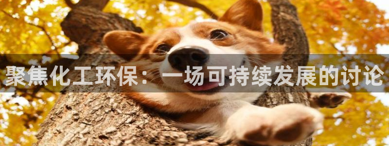 亿万首富手游兑换码：聚焦化工环保：一场可持续发展的讨论