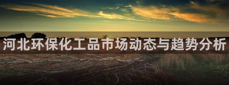 亿万国际游戏官网手机版：河北环保化工品市场动态与趋势分析