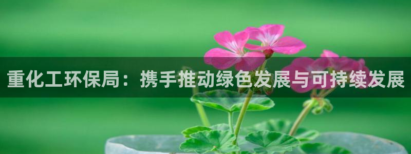 亿万先生手机版入口在哪下载：重化工环保局：携手推动绿色发展与可持续发展