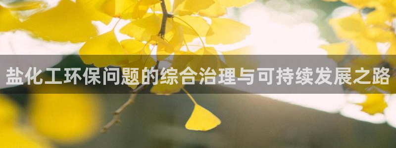 亿万网友在线实时为您解答：盐化工环保问题的综合治理与可持续发展之路
