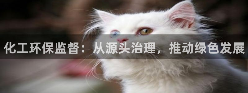 亿万先生官方网站首页：化工环保监督：从源头治理，推动绿色发展