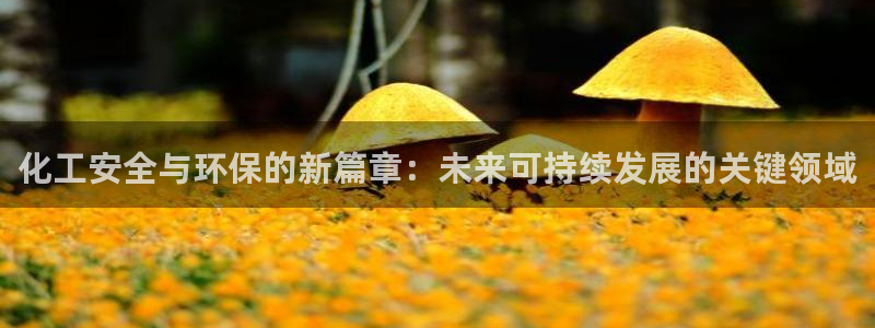 亿万钱包app下载：化工安全与环保的新篇章：未来可持续发展的关键领域