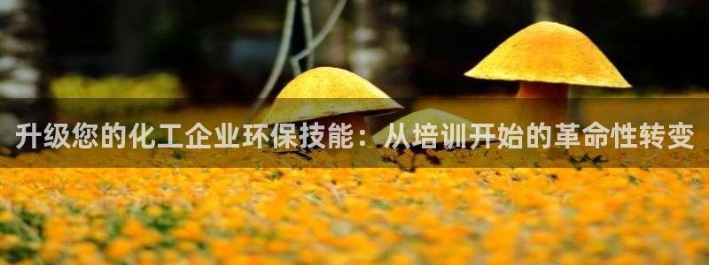 亿万下载徐家汇朋友圈说说：升级您的化工企业环保技能：从培训开始的革命性转变