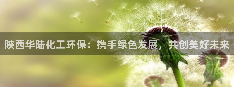 亿万先生客服联系方式：陕西华陆化工环保：携手绿色发展，共创美好未来